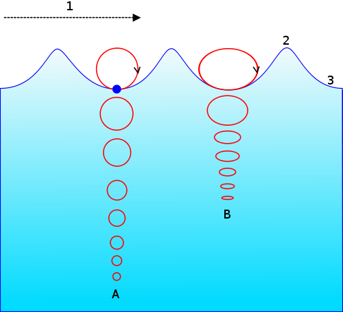 graphic of surface waves showing orbital movement of water molecules in a circular orbit.